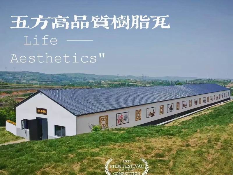 合成树脂瓦案例
